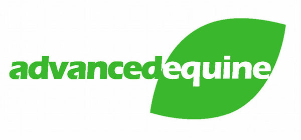 Advanced Equine