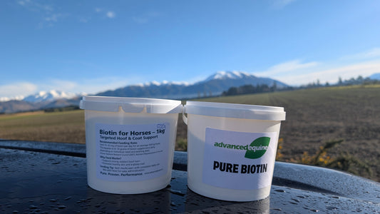 500g Biotin Powder